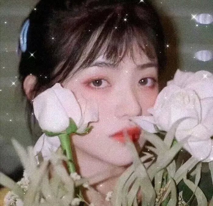心灵的冒险
